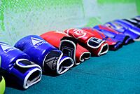 Pro-Fight Aero Boxing Gloves