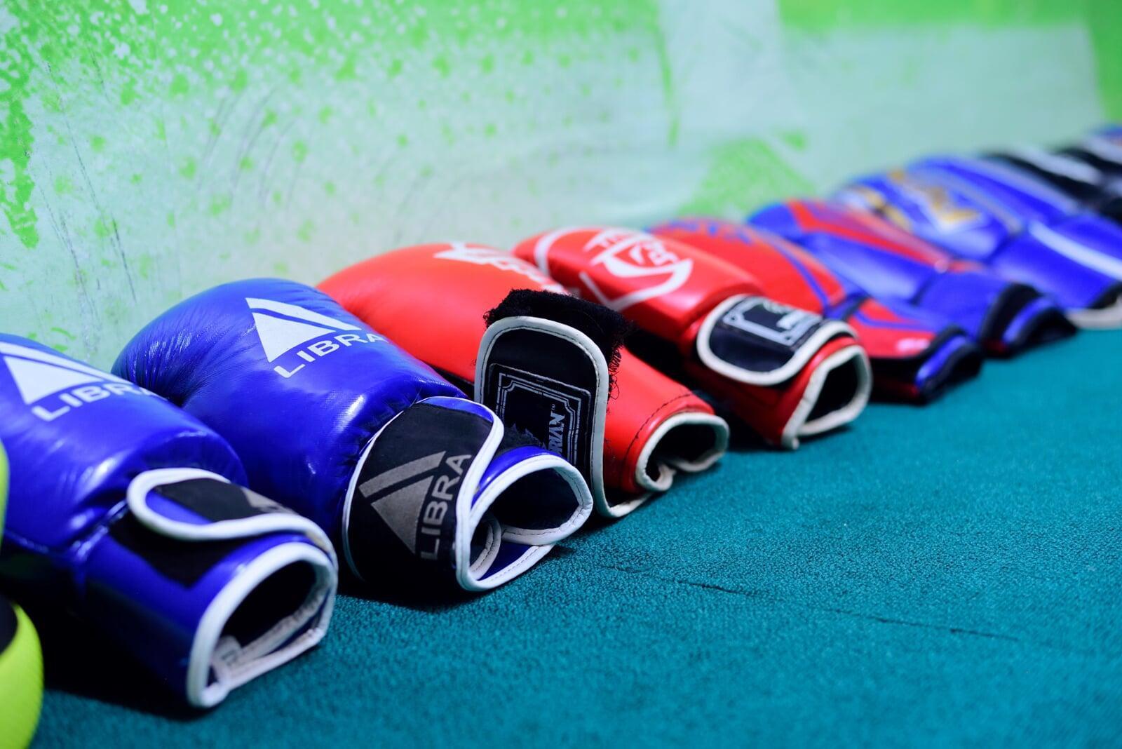 Pro-Fight Aero Boxing Gloves