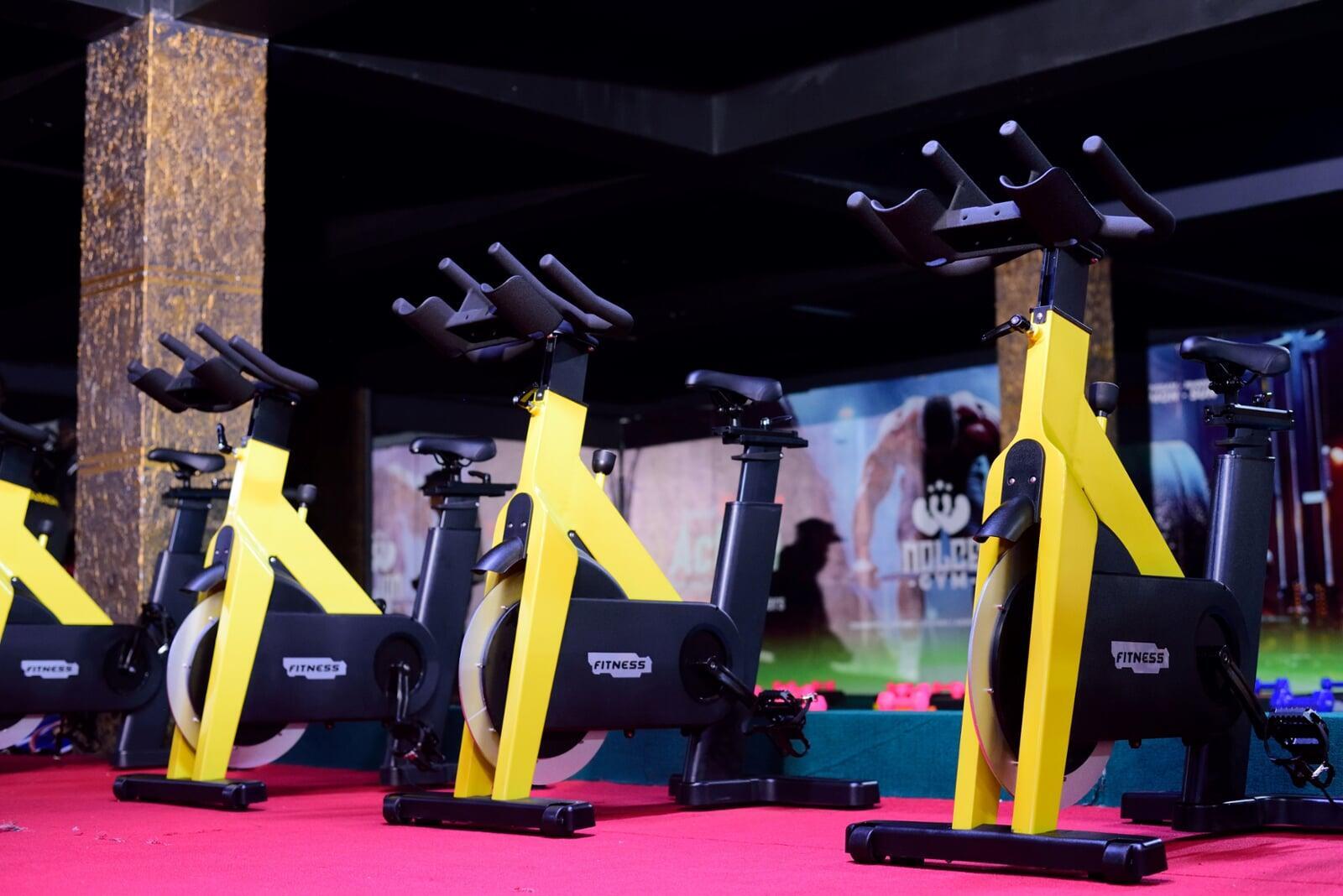 Pro Indoor Cycling Bike
